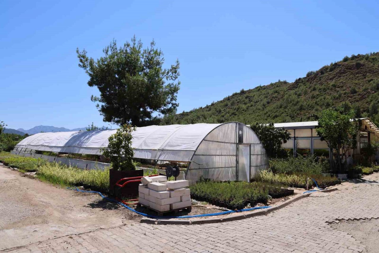 Marmaris Belediyesi, üreterek tasarruf etti