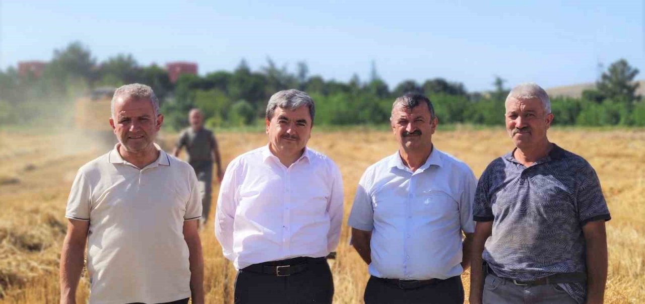 Amasya’da meslek lisesinden 40 ton buğday hasadı