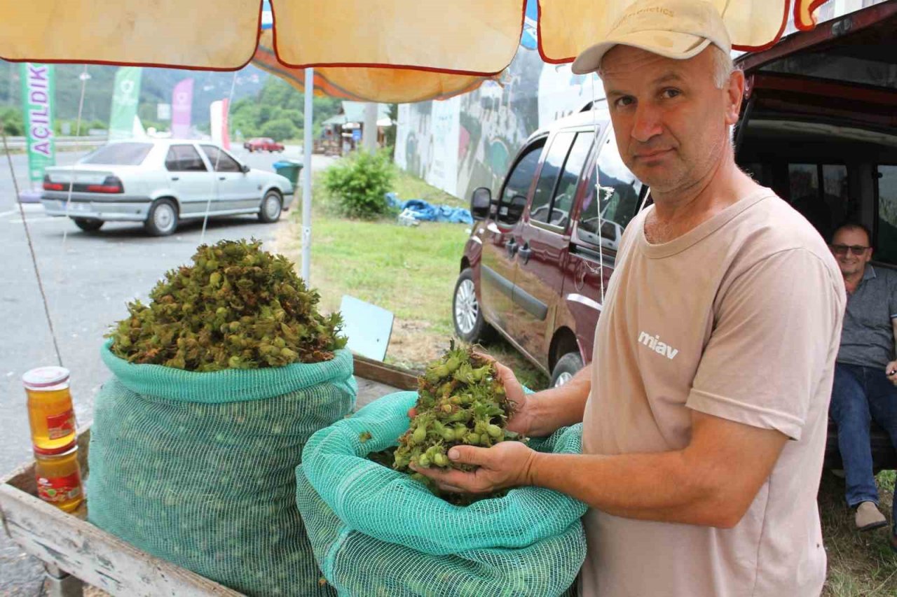 Ordu’da taze fındık tezgahlara indi