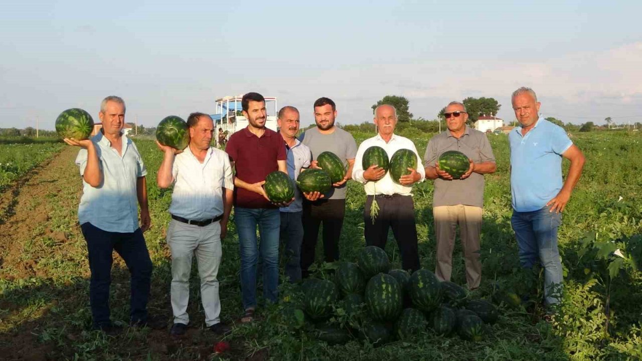 Bafra karpuzu raflara yerini almaya başladı