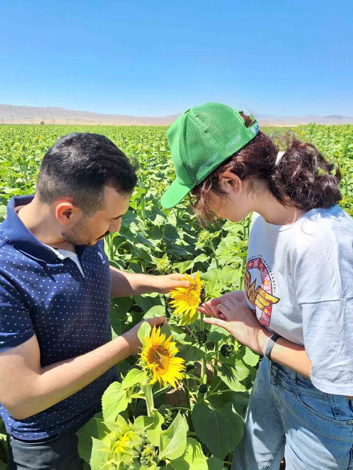 Tohum yetiştirilen alanlar kontrol edildi