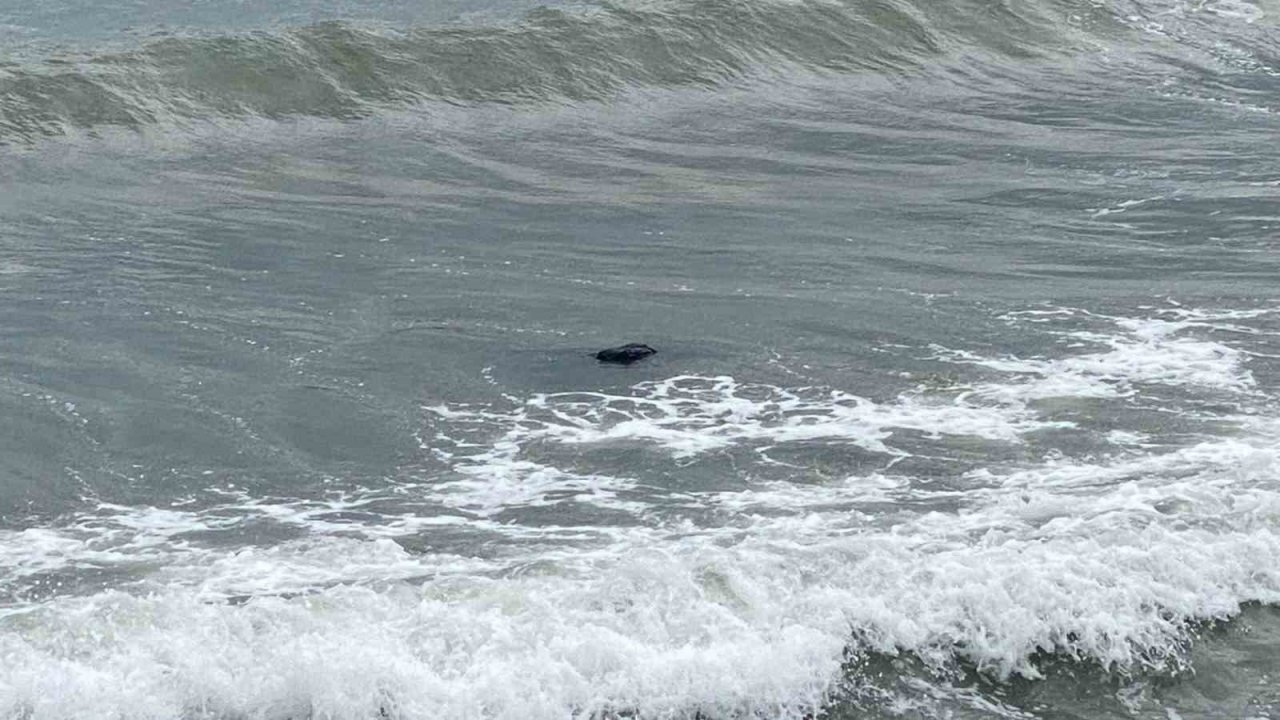 Denizde ceset ihbarı yapıldı, çadır çıktı