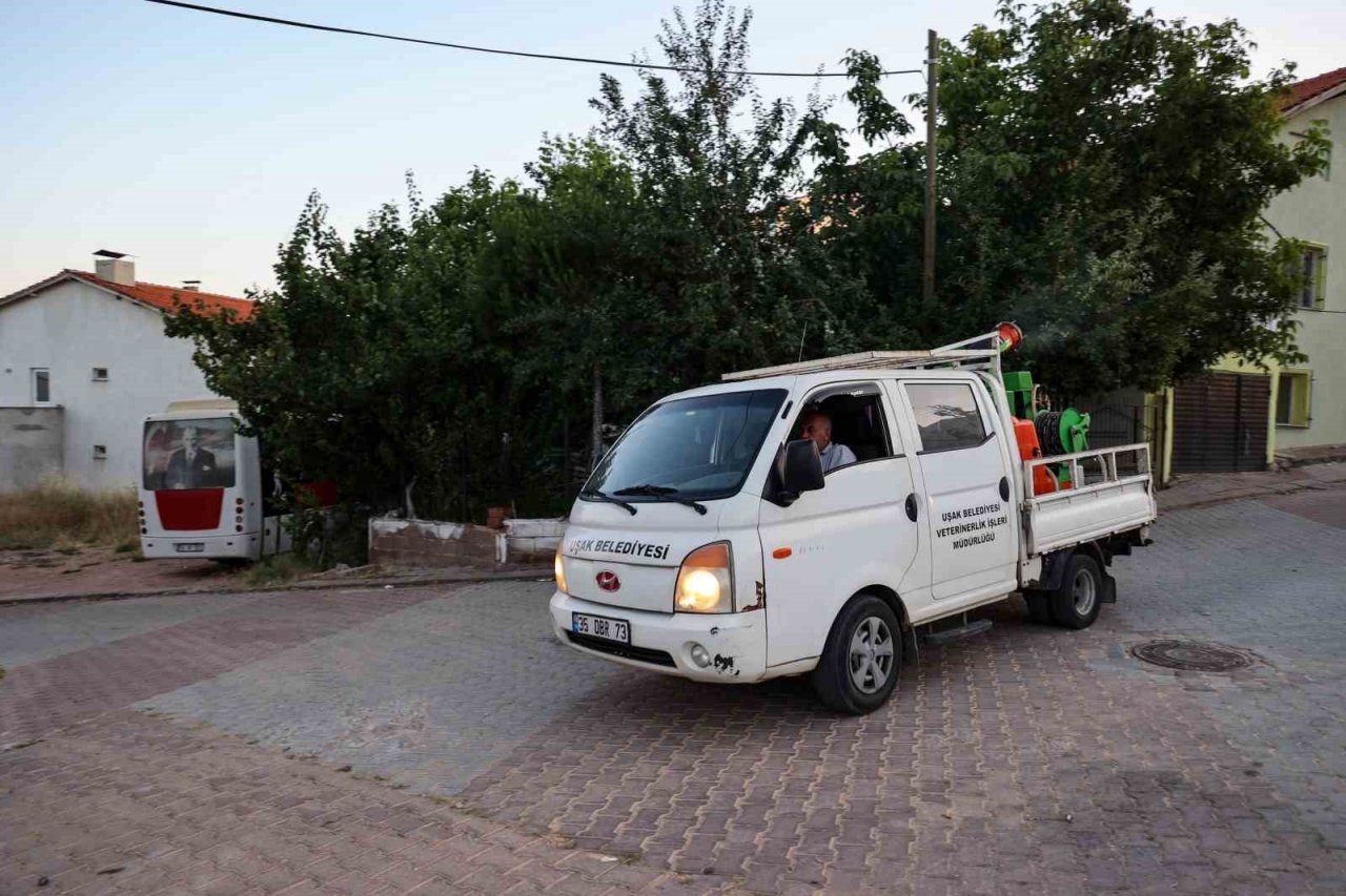Uşak Belediyesinin ilaçlama çalışmaları devam ediyor