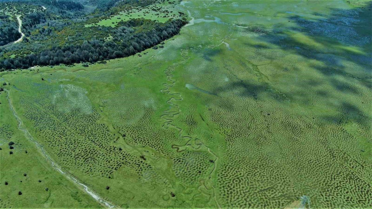 Karagöl Yaylası’nın imara açıldığı iddialarına Vali Kaldırım koydu son noktayı