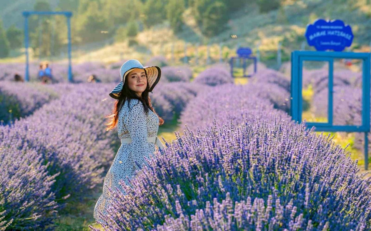 Ankara’nın en büyük lavanta bahçesi Mamak’ta