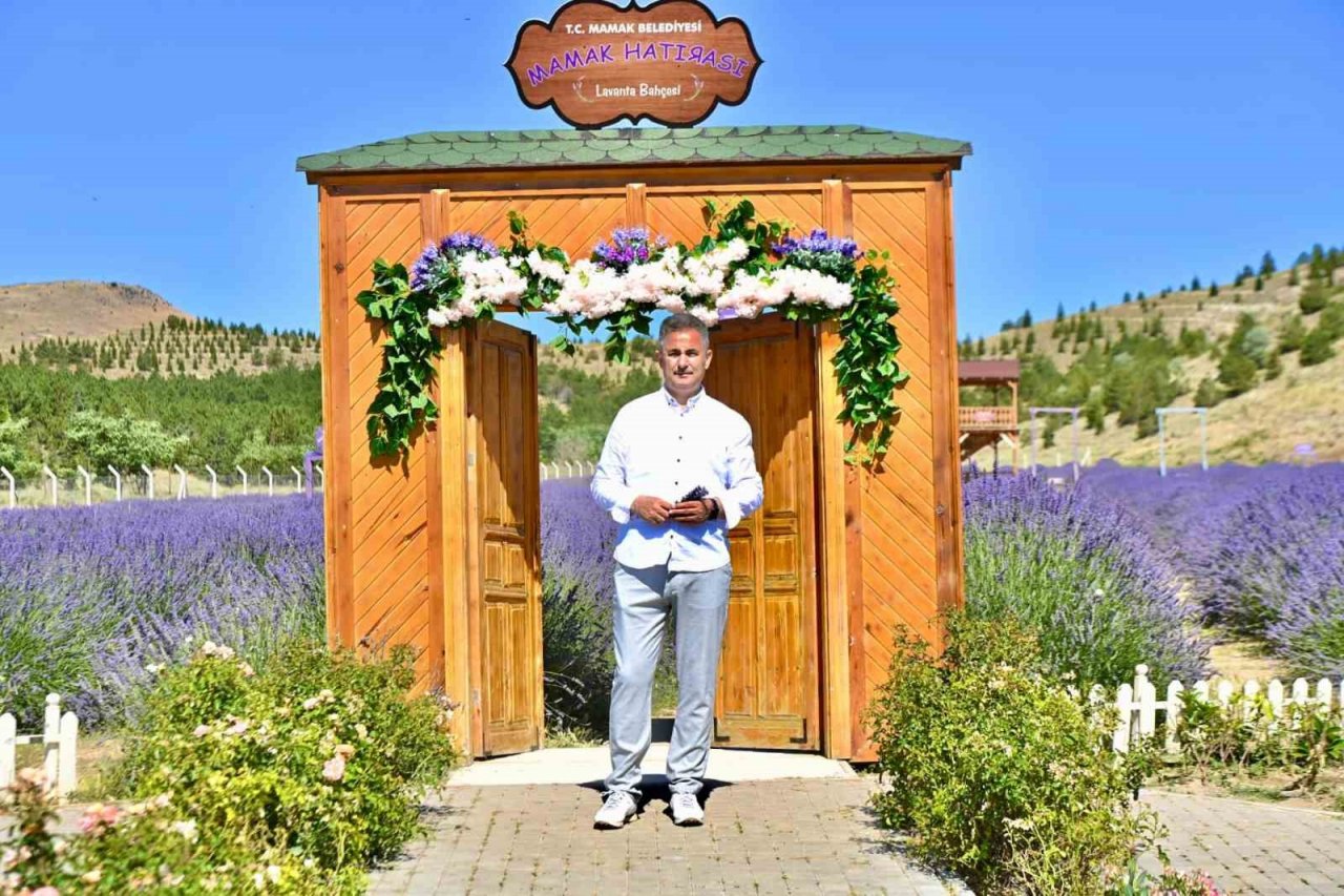 Ankara’nın en büyük lavanta bahçesi Mamak’ta