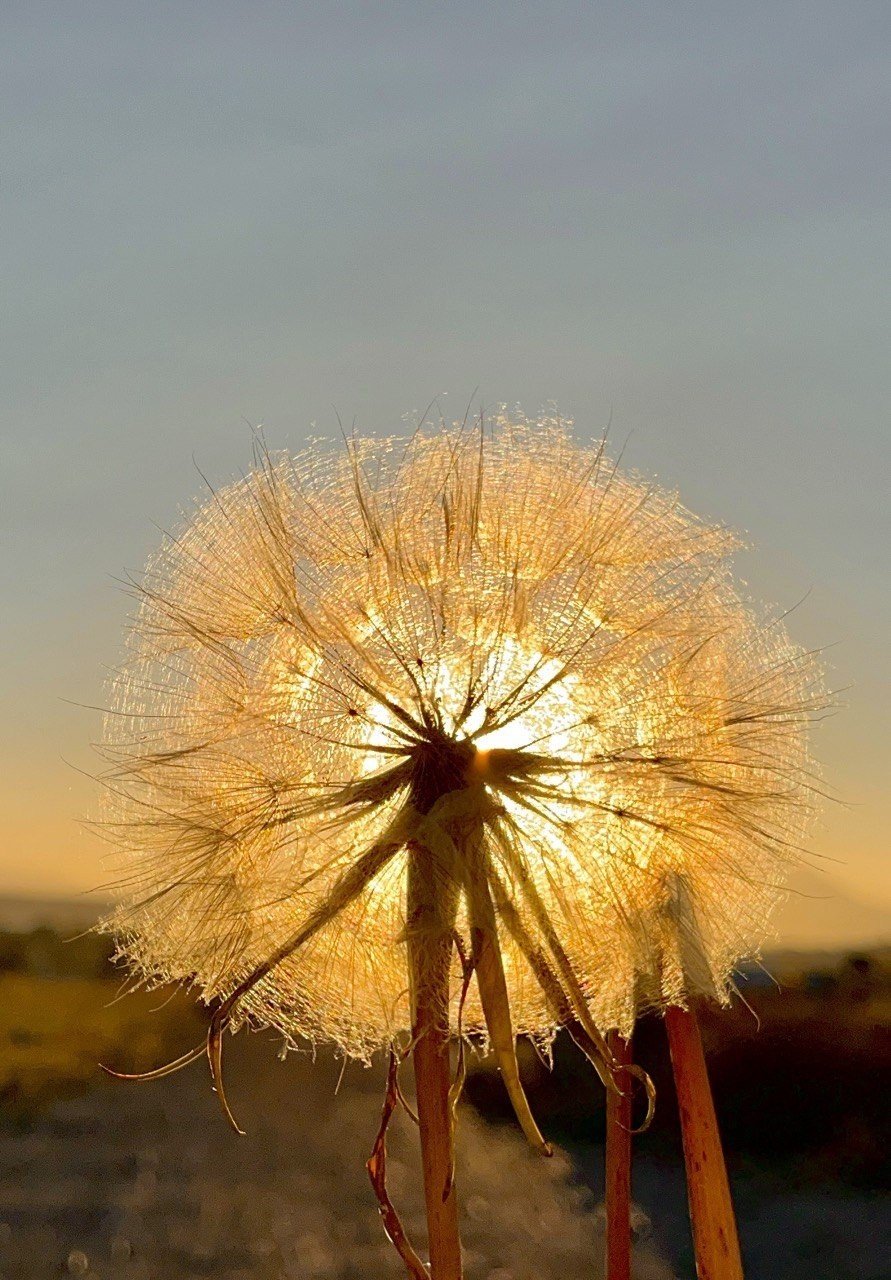 Ağrı’da gün batımı göz kamaştırdı