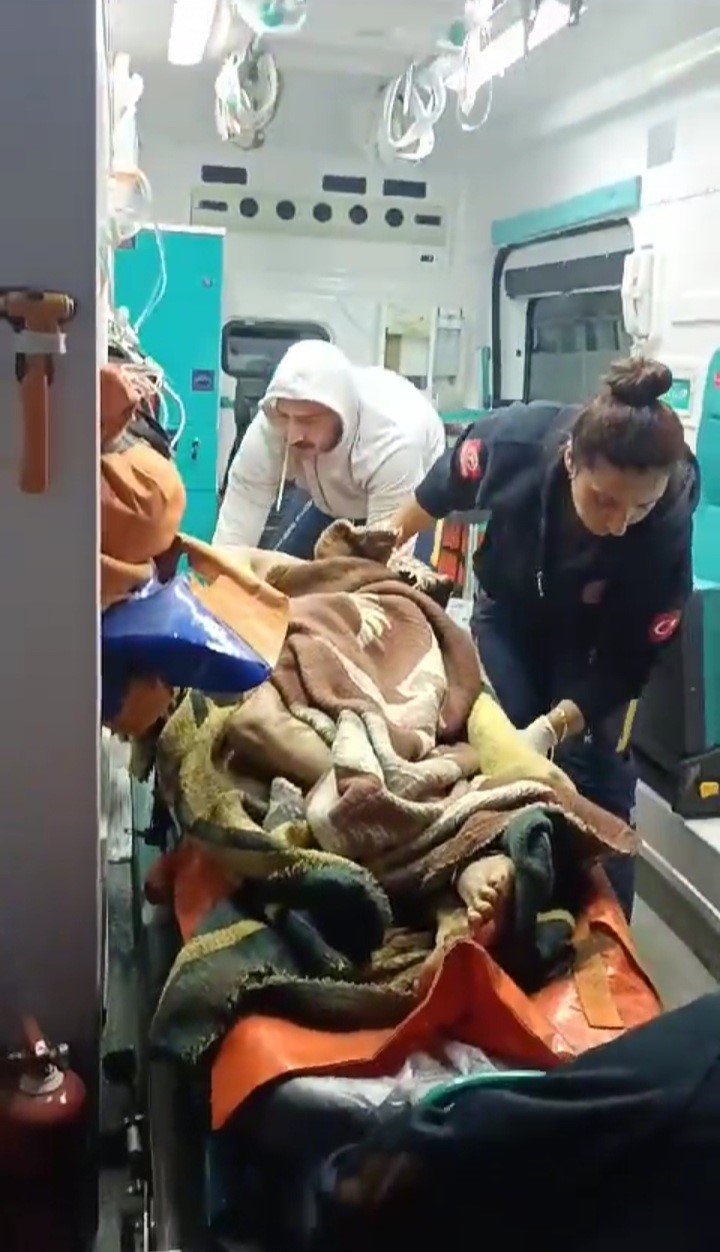 Ağrı’da yıldırım düşmesi sonucu bir çoban yaralandı, 30 koyun telef oldu