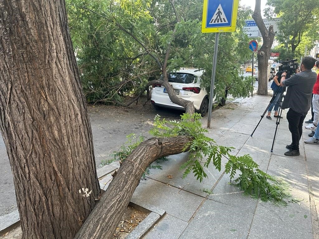 Başkentte aracın üstüne ağaç devrildi, vatandaşlar büyük panik yaşadı