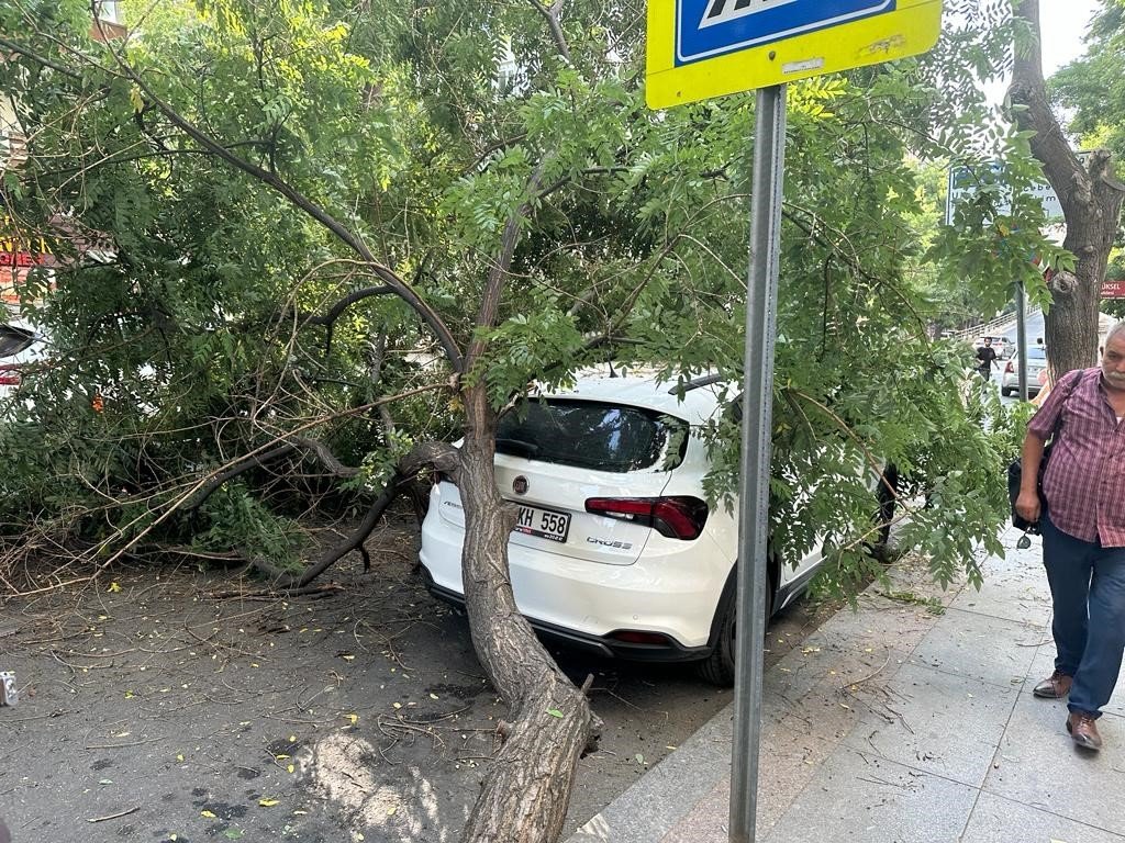 Başkentte aracın üstüne ağaç devrildi, vatandaşlar büyük panik yaşadı