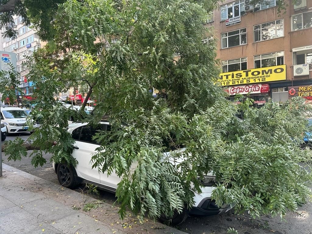 Başkentte aracın üstüne ağaç devrildi, vatandaşlar büyük panik yaşadı