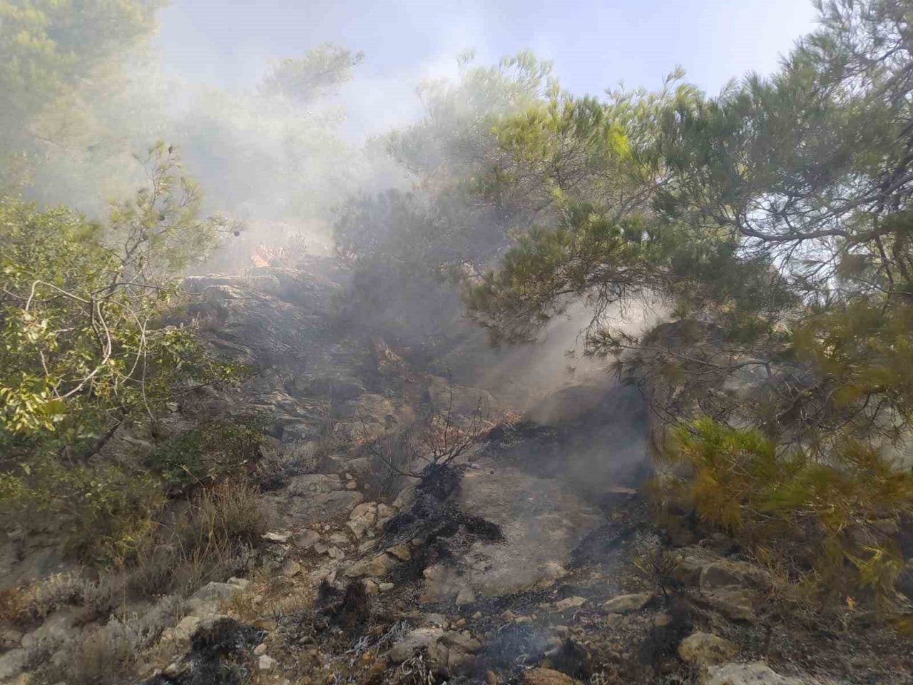 Söke’deki yangında itfaiye ekipleri alevlerle mücadele etti