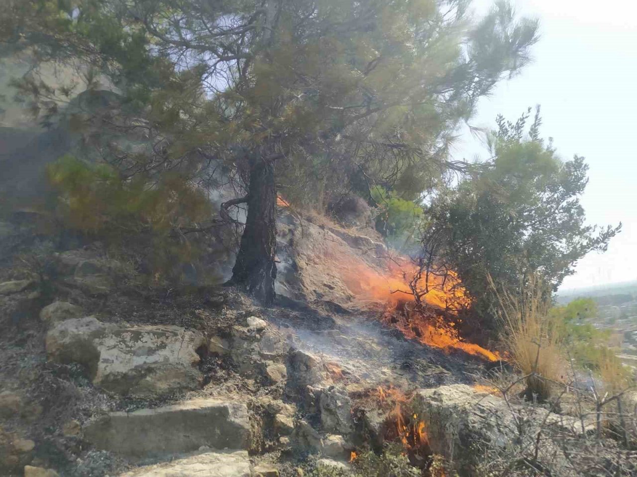 Söke’deki yangında itfaiye ekipleri alevlerle mücadele etti