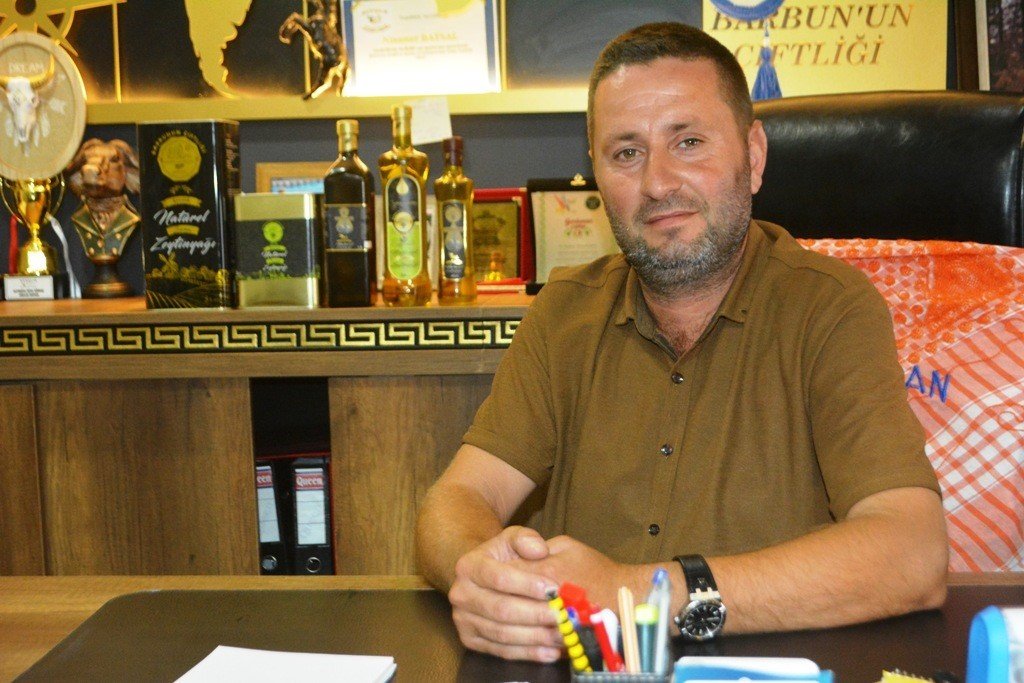 Ayvalık Ziraat Odası Başkanı Baysal: "İklim değişiklikleri ve yağışlardaki düzensizlik, dünyada zeytin üretimine büyük darbe vurdu"