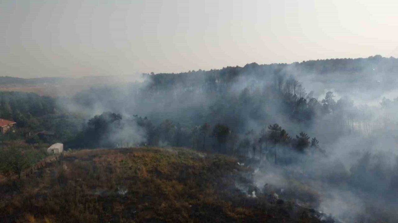 Beykoz’da çıkan orman yangını havadan görüntülendi