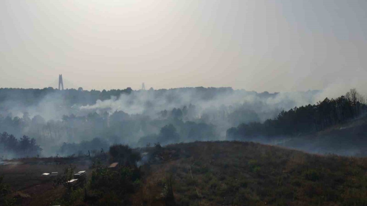 Beykoz’da çıkan orman yangını havadan görüntülendi
