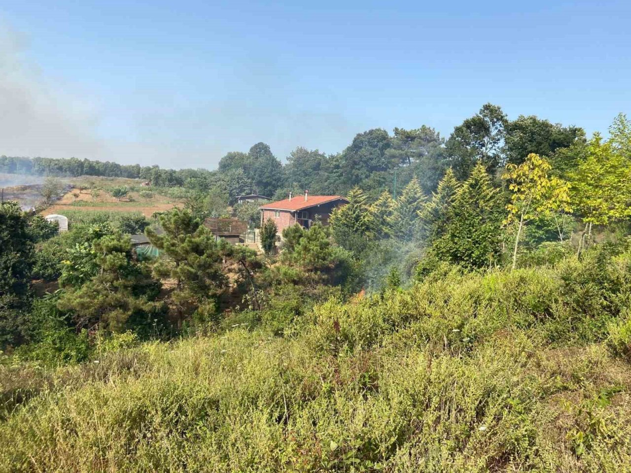 Beykoz’da iki farklı yerde orman yangını