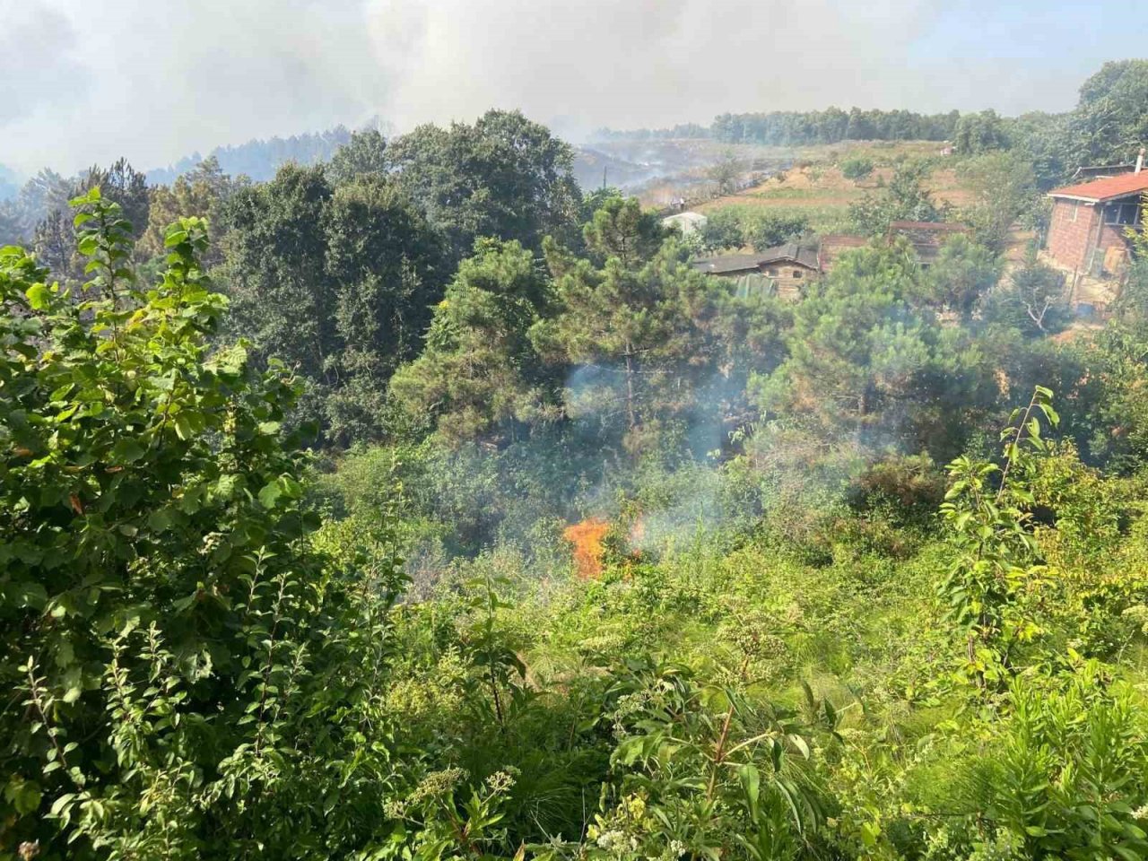 Beykoz’da iki farklı yerde orman yangını