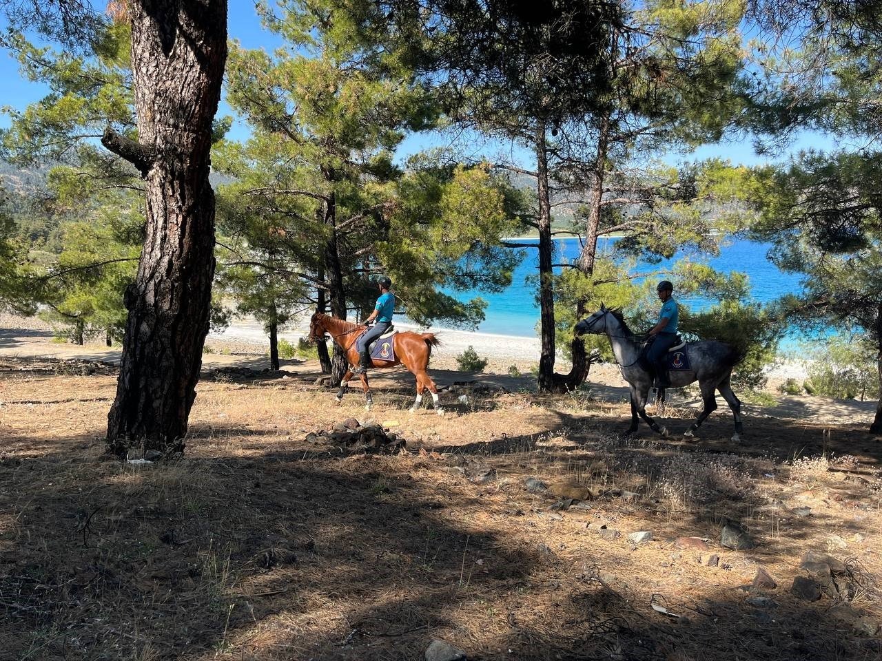 Burdur’da jandarma ekipleri yangınlara karşı ormanlarda devriye atıyor