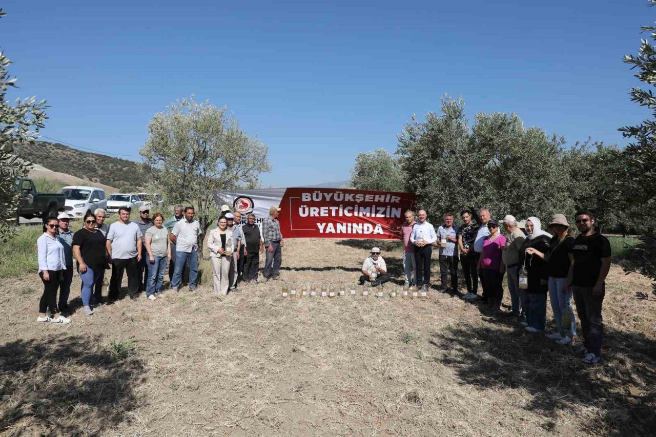 Denizli’de zeytin sineğiyle mücadele başlatıldı