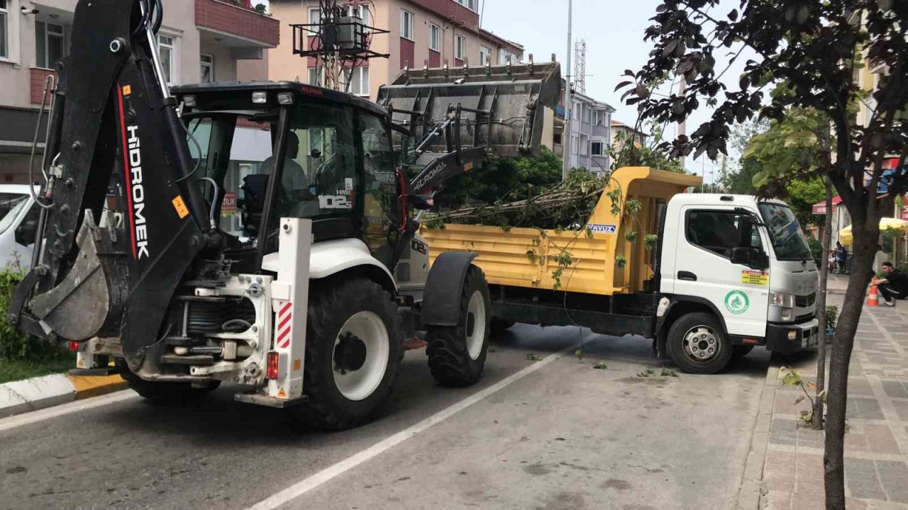 Edirne’de taksinin üstüne devrilen ağaç 2 saat boyunca trafiği kapattı