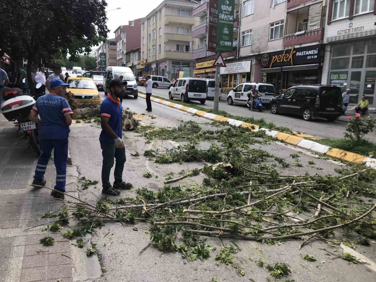 Edirne’de taksinin üstüne devrilen ağaç 2 saat boyunca trafiği kapattı