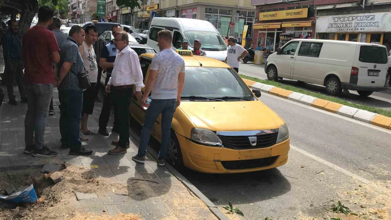 Edirne’de taksinin üstüne devrilen ağaç 2 saat boyunca trafiği kapattı
