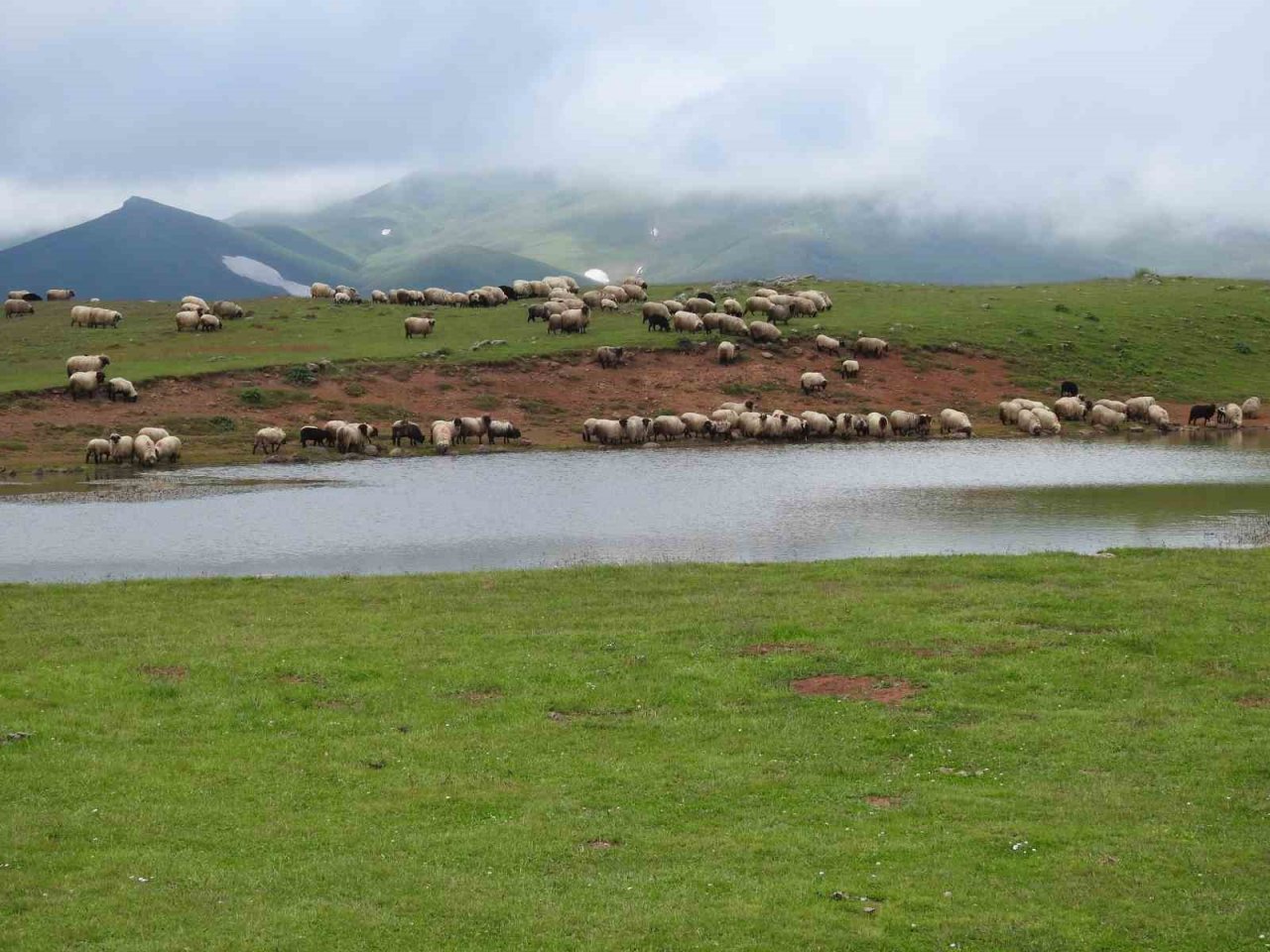 Mera Islah Projesi yüz güldürdü