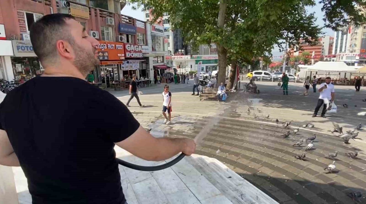 Bursa’da güvercinler kanatlarını açıp böyle serinledi