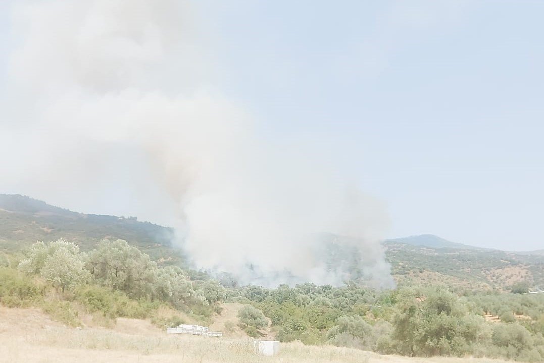 İzmir’de orman yangını başladı, havadan müdahale ediliyor