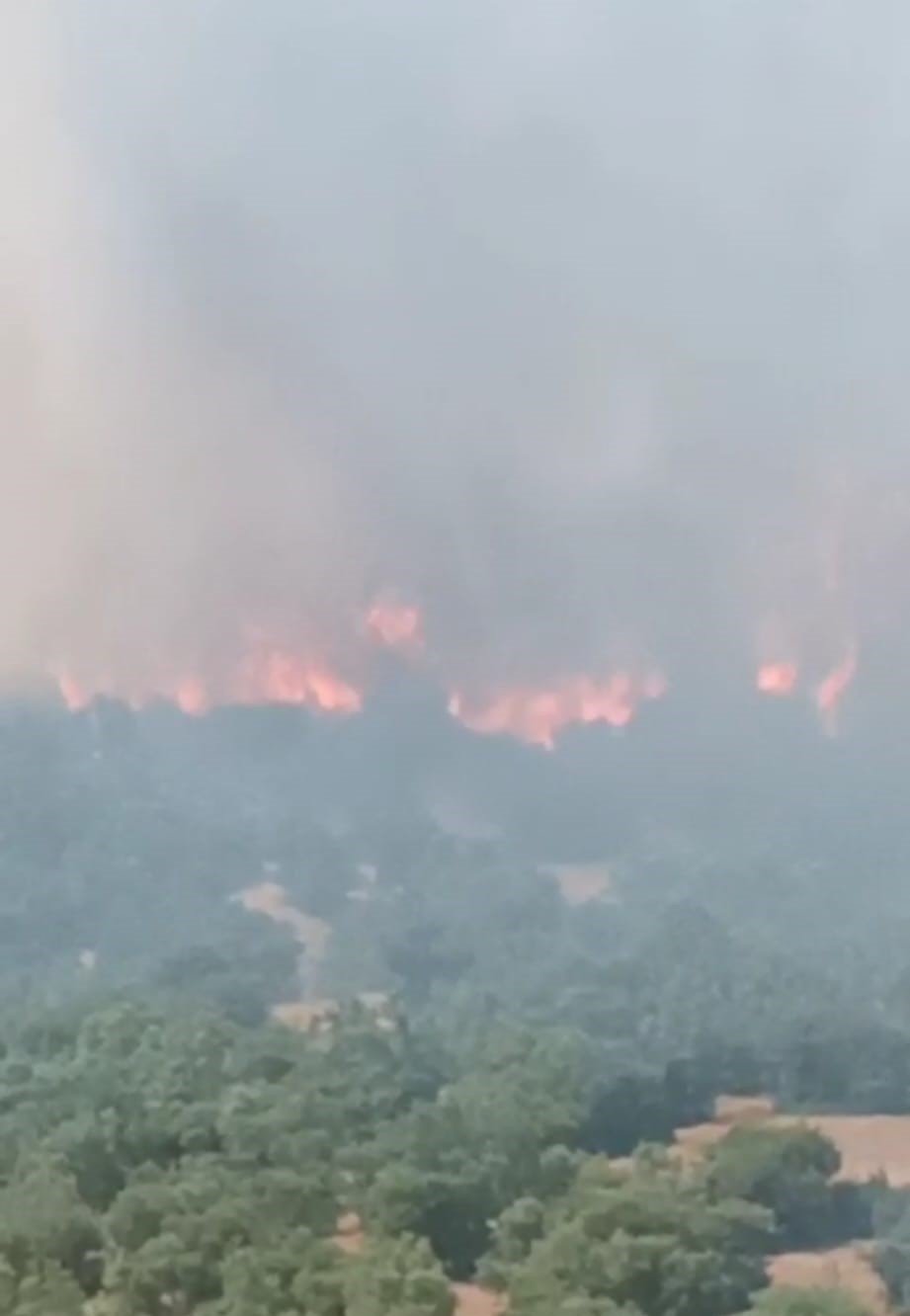 Kütahya’daki orman yangınına müdahale 3 saattir sürüyor