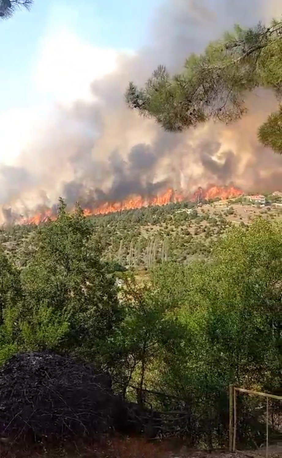 Kütahya’daki orman yangınına müdahale 3 saattir sürüyor