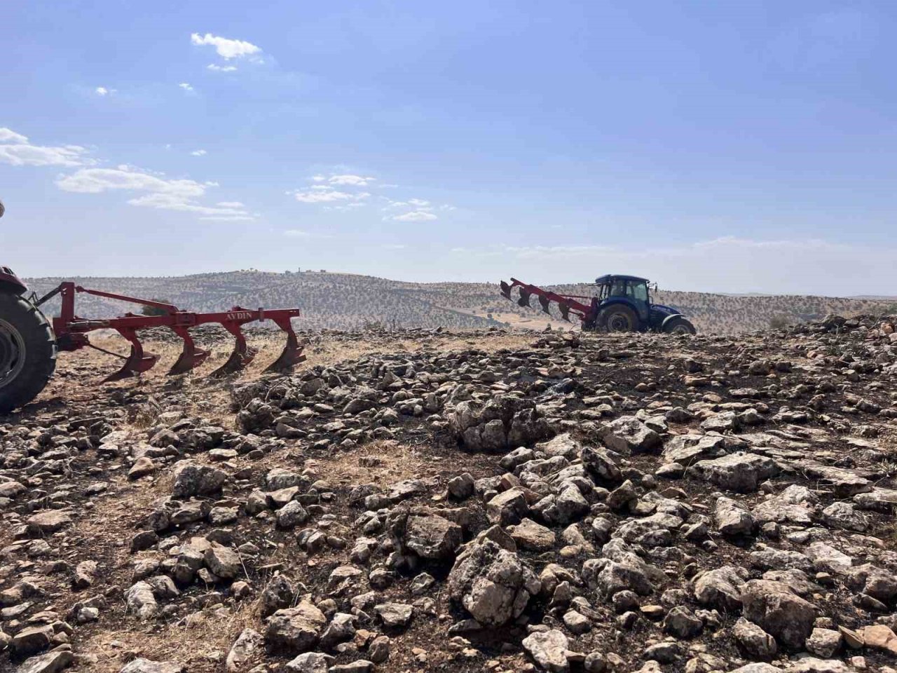 Mazıdağı’nda yangın nedeniyle 200 dönümlük ormanlık alan zarar gördü