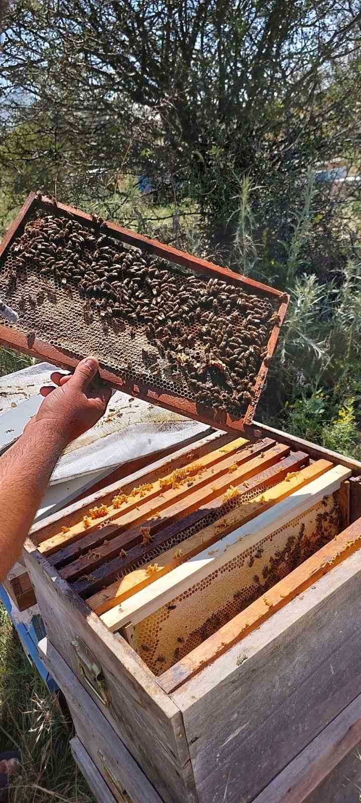 Marmaris’te ’Memleketten Selam Var’ projesi sürüyor