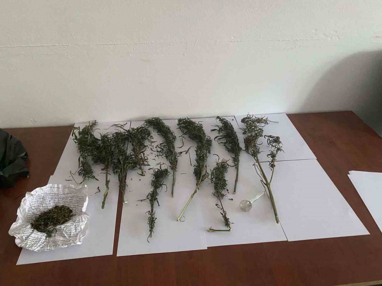 Jandarmadan uyuşturucu operasyonları: 7 gözaltı