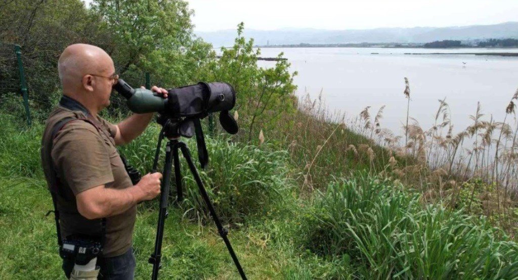 Hersek Lagünü’nde üreyen kuş türü sayısında artış