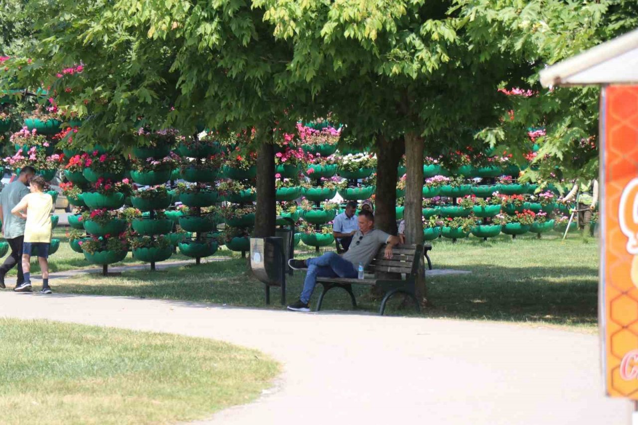 Termometrelerin 40’a dayandığı en sıcak günde Sakarya’dan çarpıcı kareler