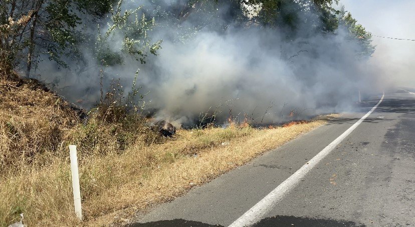 Edirne’de arazi yangını: Huzurevindeki yaşlılar tahliye edildi