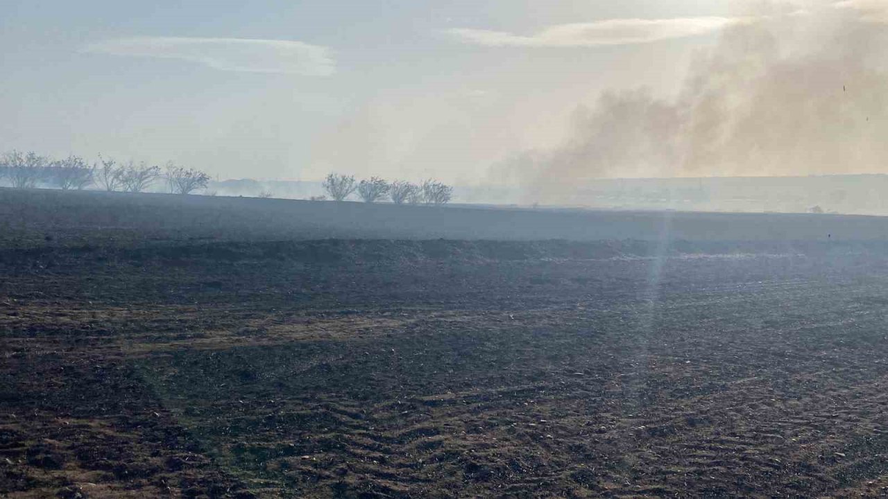 Edirne’de arazi yangını: Huzurevindeki yaşlılar tahliye edildi