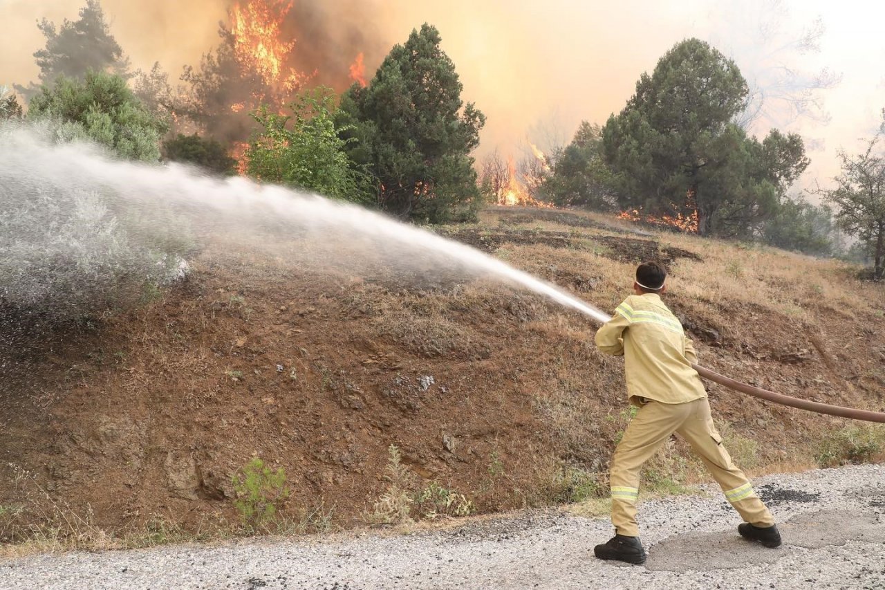 Vali Çelik, “Orman yangını yerleşim yerleri için risk oluşturmuyor”