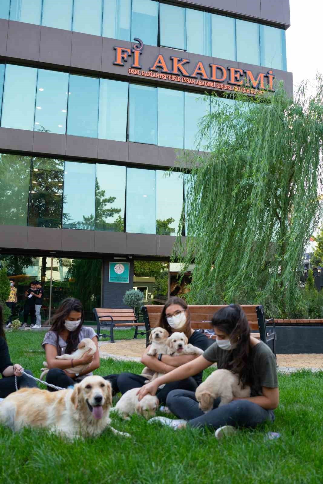 Deprem öğrencilerin hayallerini yıkamadı