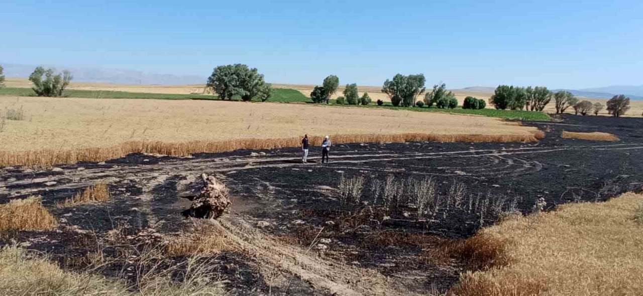Arazi yangınında 50 dekarlık alan zarar gördü