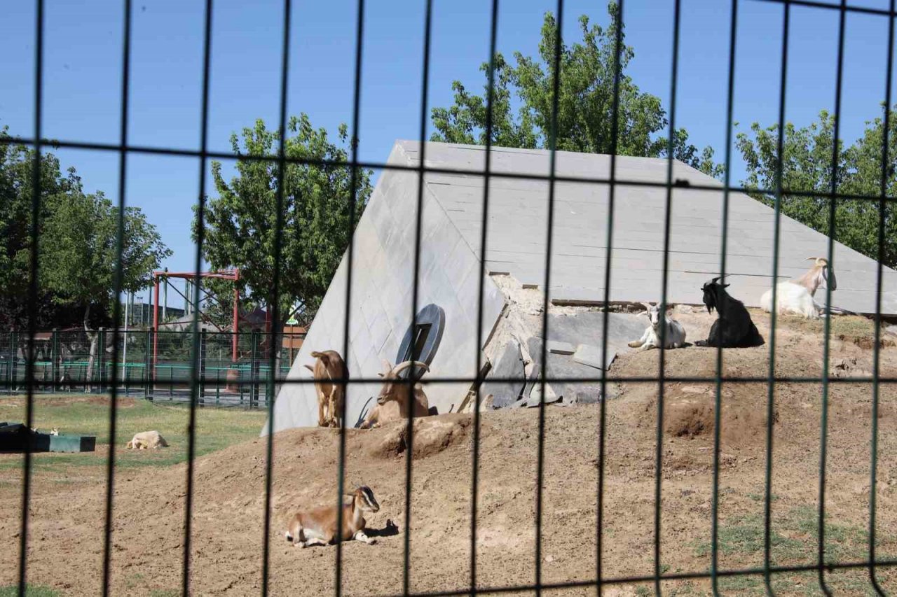 Hayvanat bahçesindeki hayvanlar aşırı sıcakta buzlu meyve kokteyli ile serinliyor