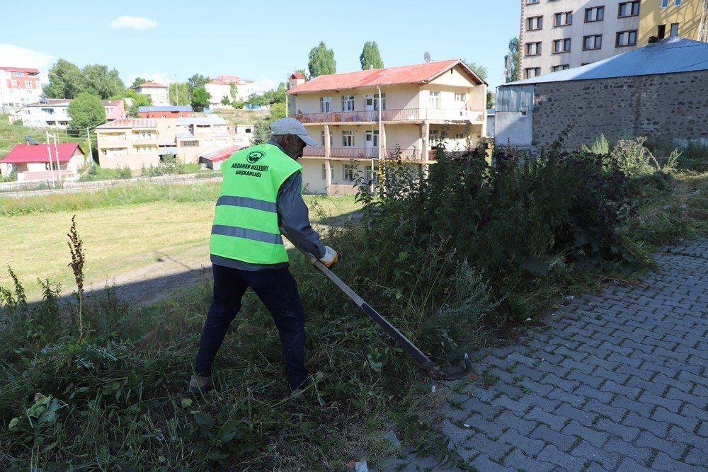 Ağaçlar budanıp yabani otlar temizlendi