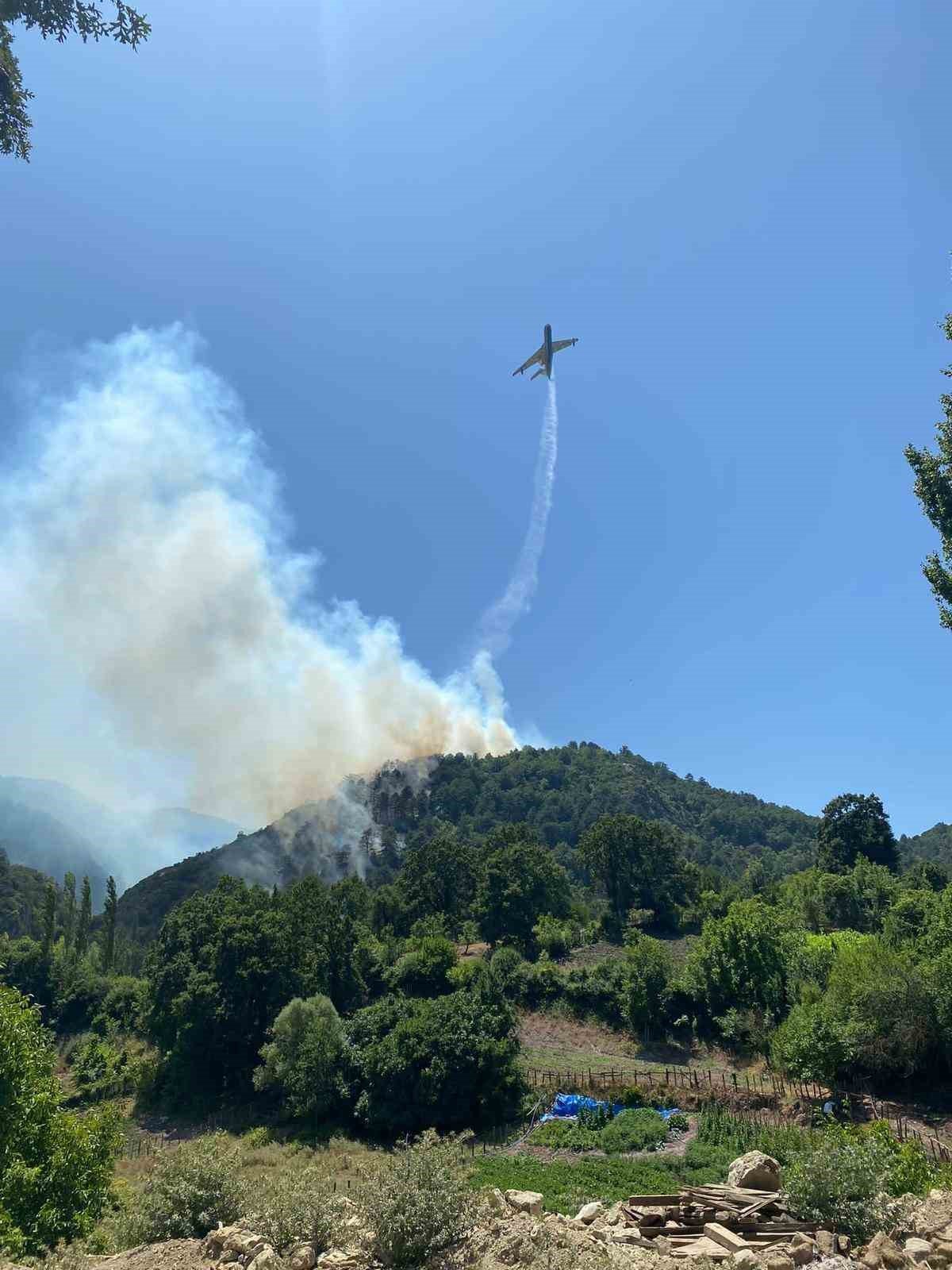 Balıkesir’de orman yangını
