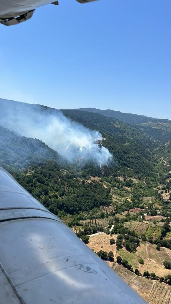 Balıkesir’de orman yangını