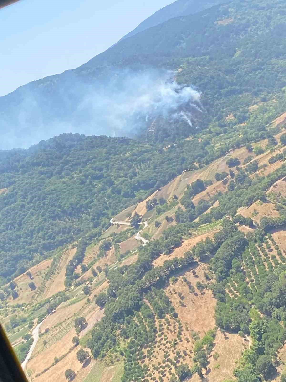 Balıkesir’de orman yangını