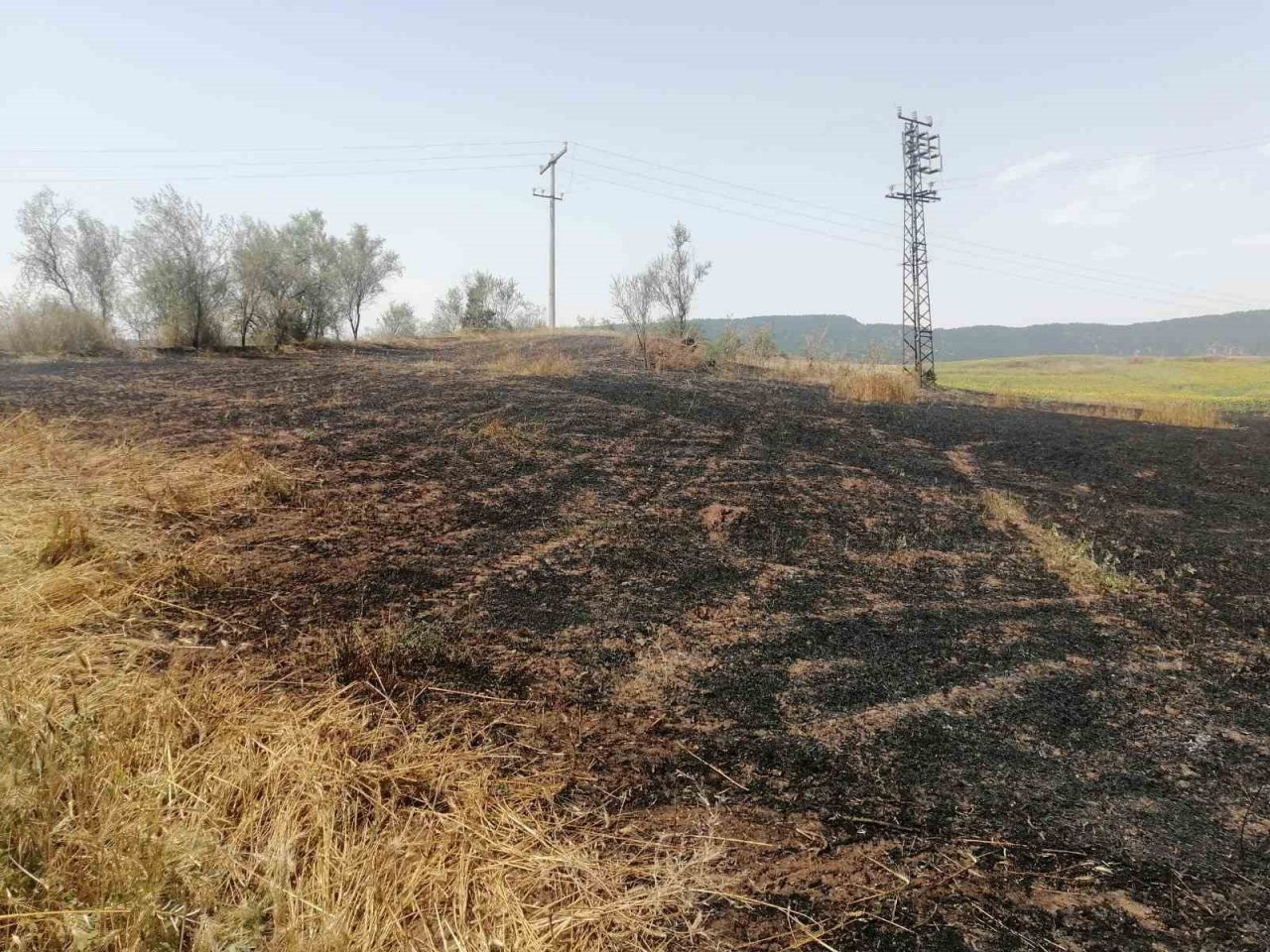 Bilecik’te 4 farklı bölgeye yıldırım düşmesi sonucu yangın çıktı