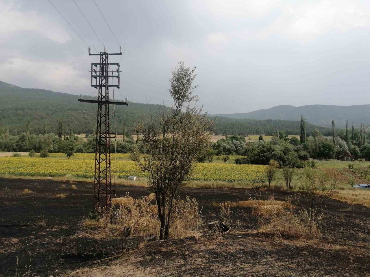 Bilecik’te 4 farklı bölgeye yıldırım düşmesi sonucu yangın çıktı