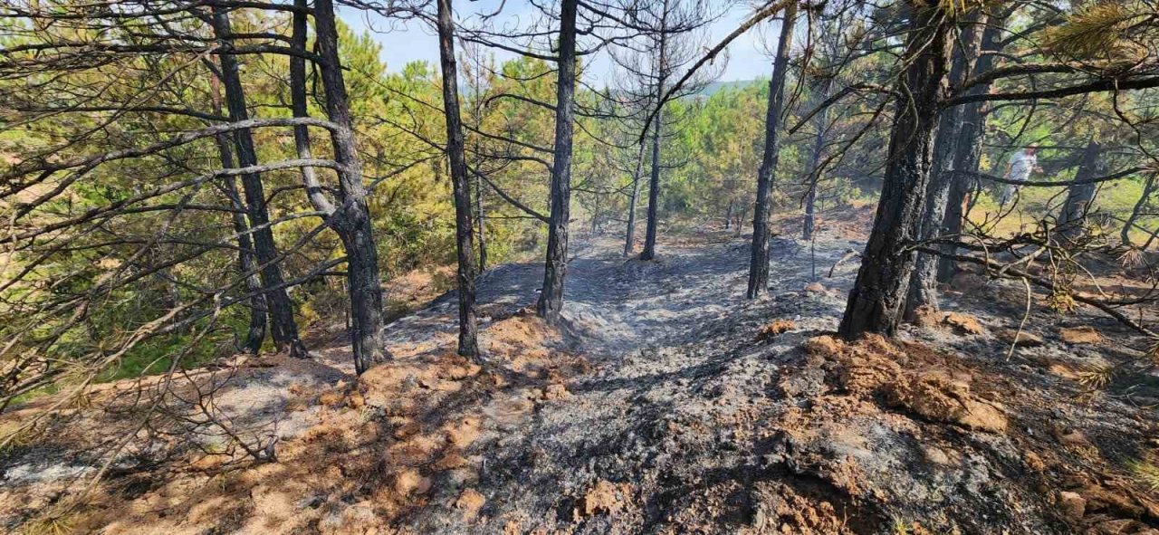 Bilecik’te 4 farklı bölgeye yıldırım düşmesi sonucu yangın çıktı